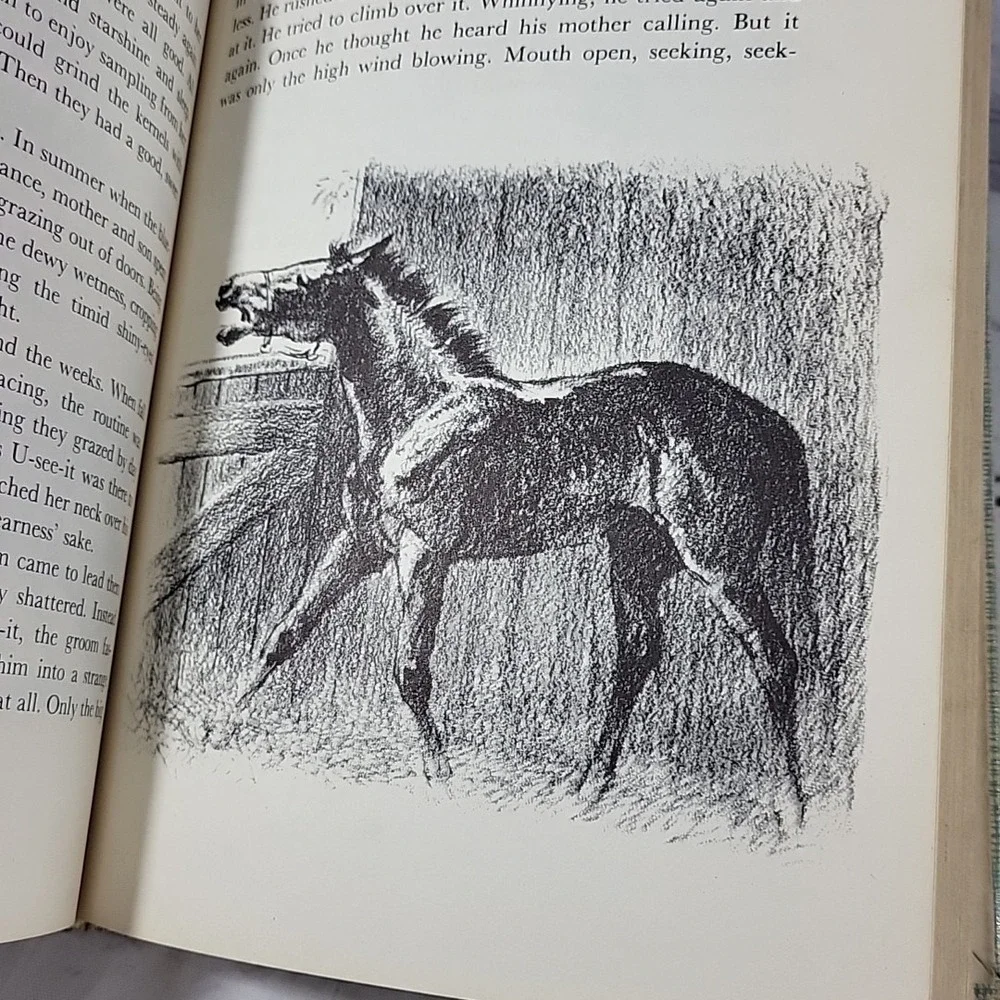 Black Gold‎ by Marguerite Henry, Illustrated by Wesley Dennis HC 1960 library ed